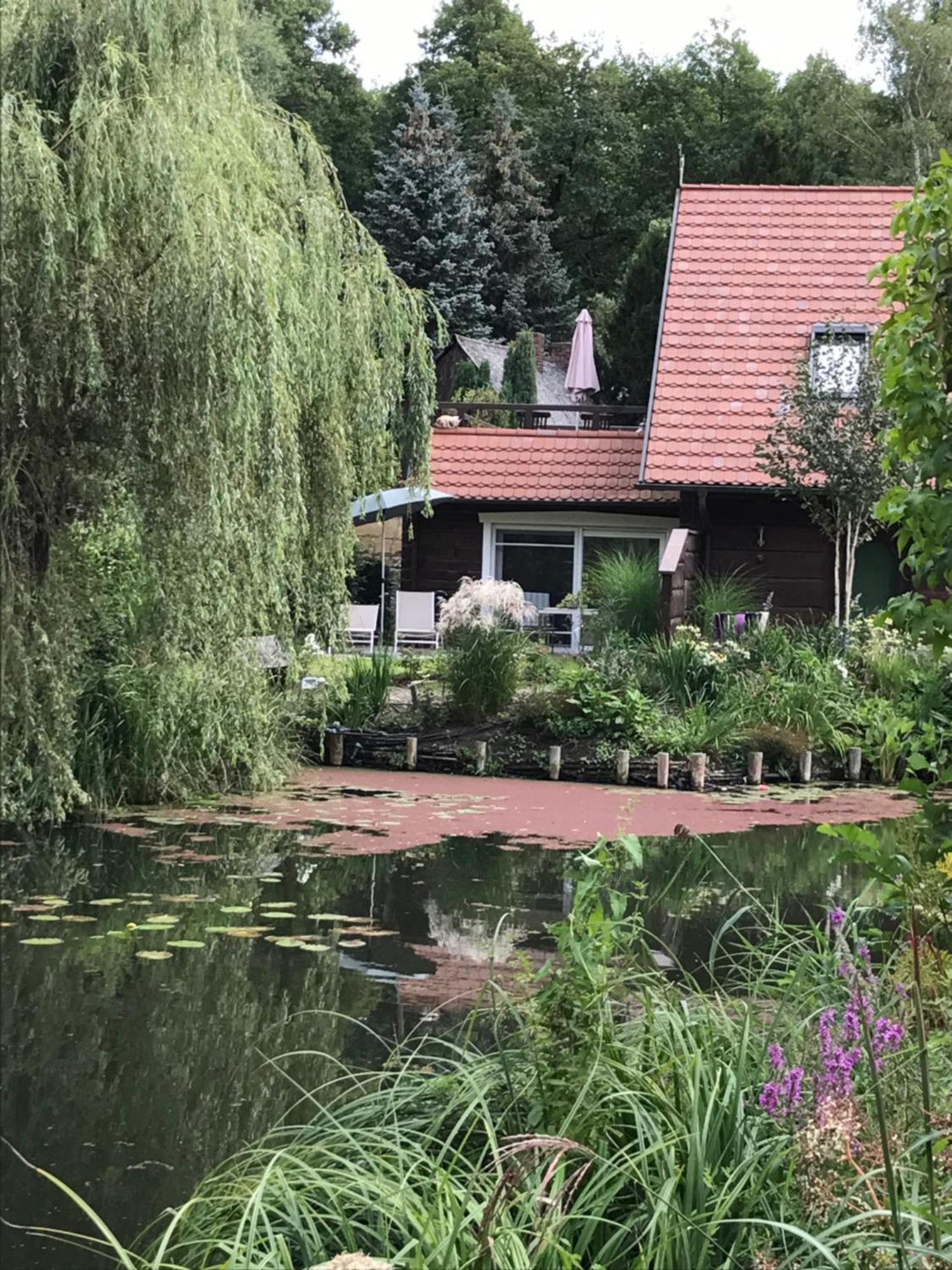 Ferienwohnungen Direkt Am Wasser Burg  Ngoại thất bức ảnh